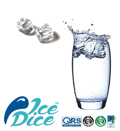 ice cube company ice cube production company